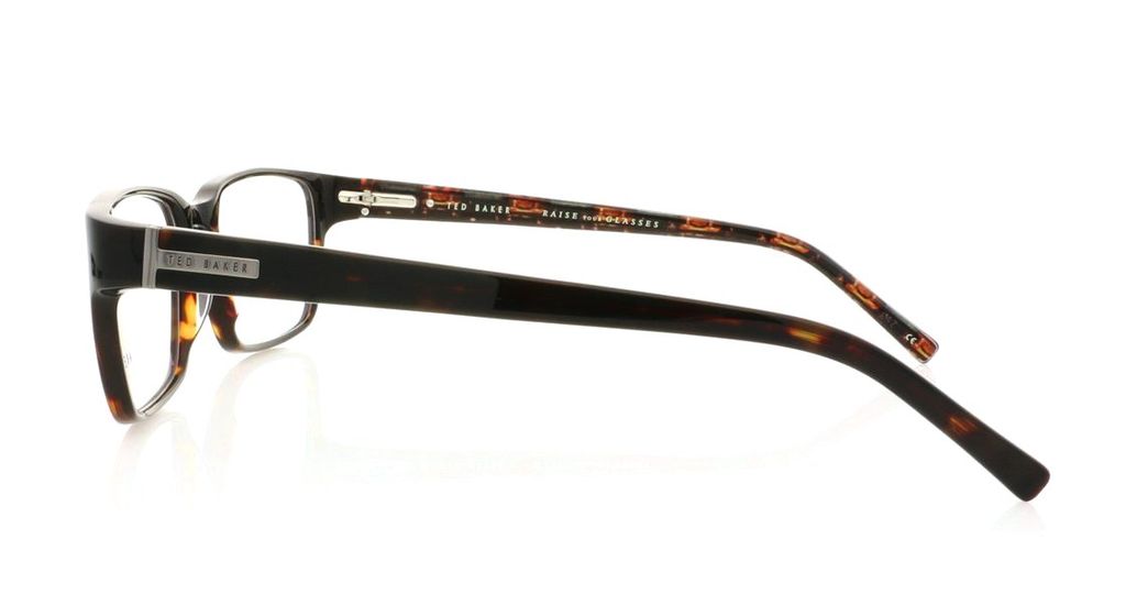 Очки вайфарер Ted Baker Principle 8097 181 Tortoise